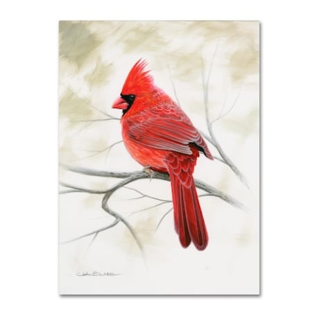 Chuck Black 'Beauty In Red' Canvas Art,14x19